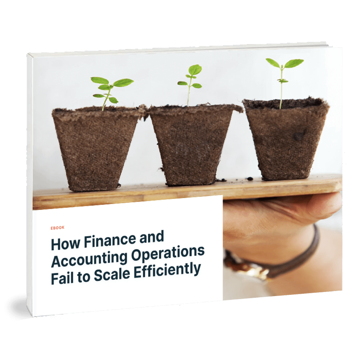 How Finance and Accounting Operations Fail to Scale Efficiently.