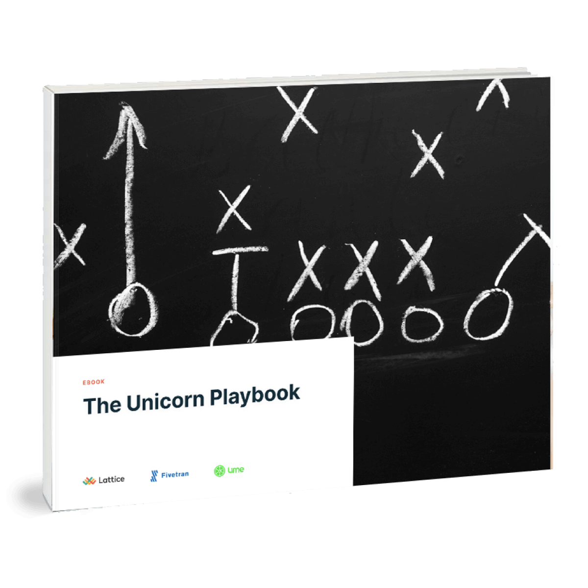 The Unicorn Playbook Volume 1